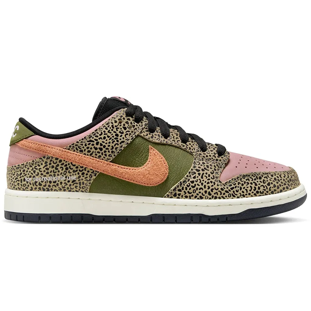 Nike SB x Arts & Rec Dunk Low Pro Easy Action Fit