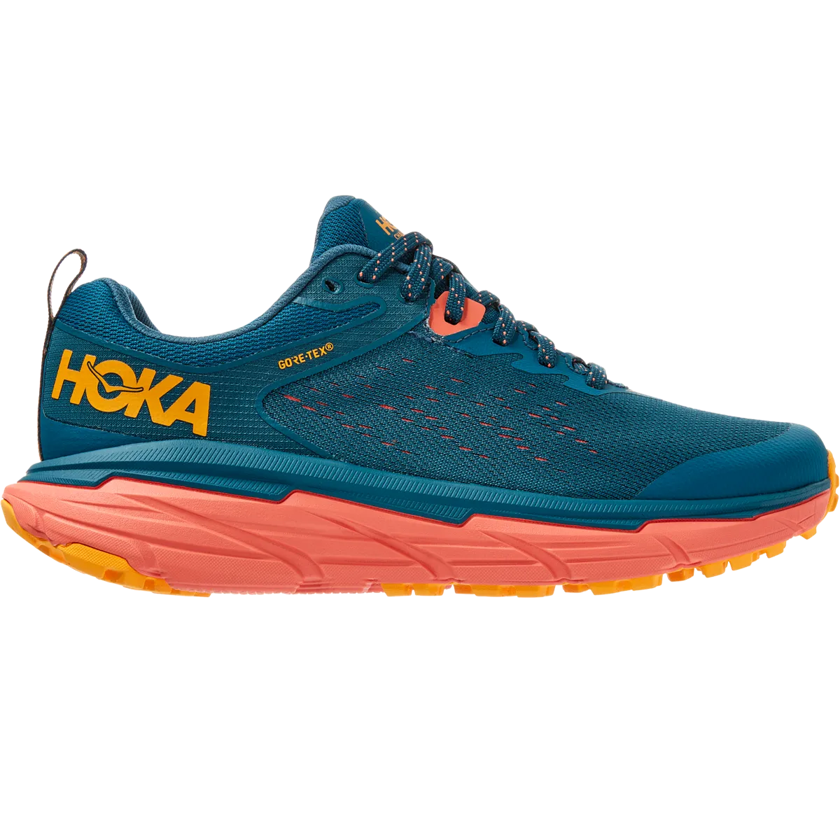 Women's Challenger ATR 6 GTX autumn shoes arctic - themed running option