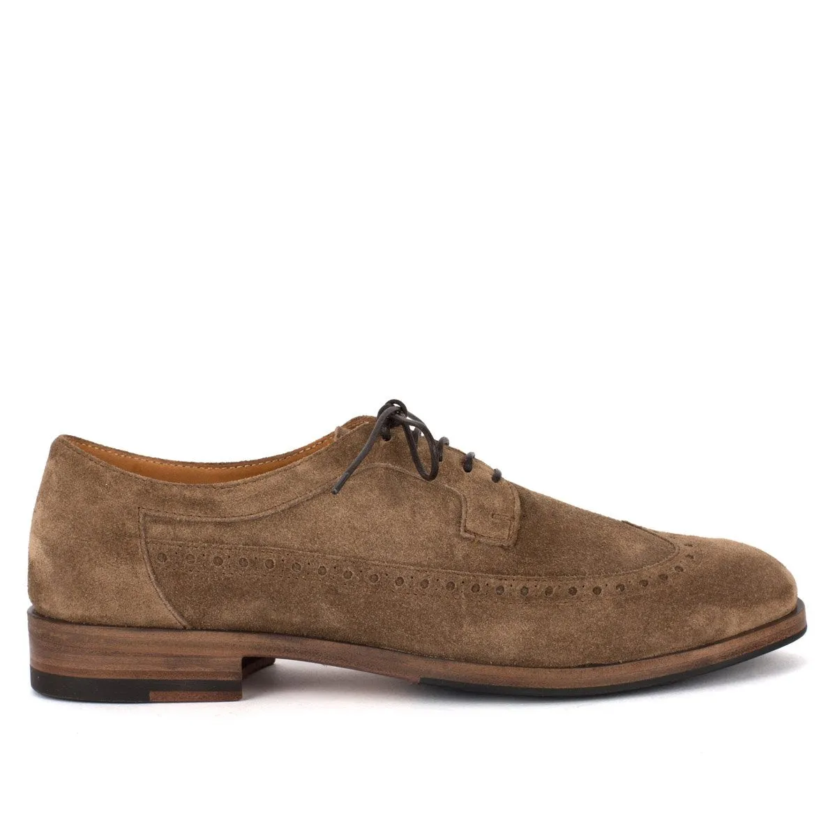 AMINA 58031<br> Derby shoes Stylish Footwear Sharp Silhouette