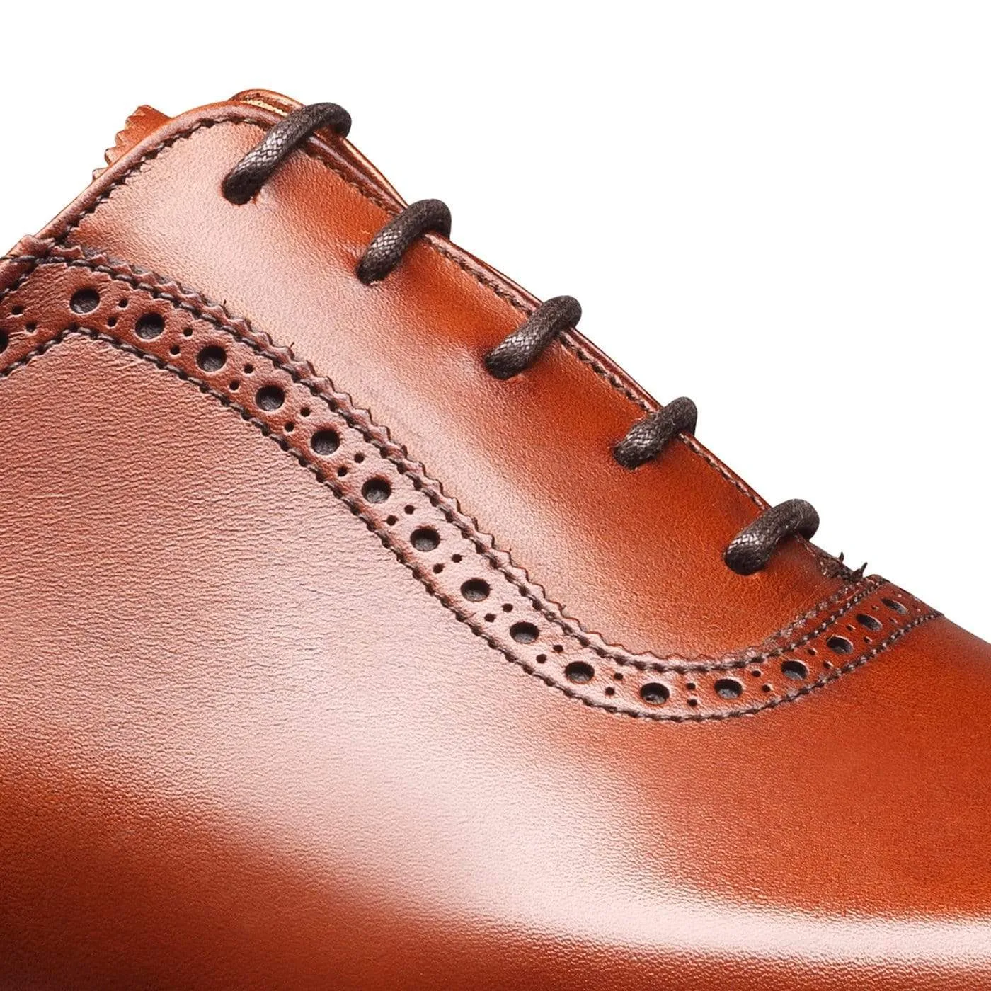 Westbourne Chestnut Burnished Calf Step In Smart Office Wear
