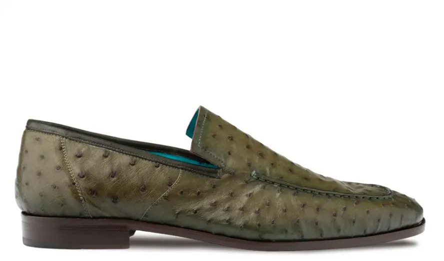 Rain Guard Party Glow Style: Menor-Olive