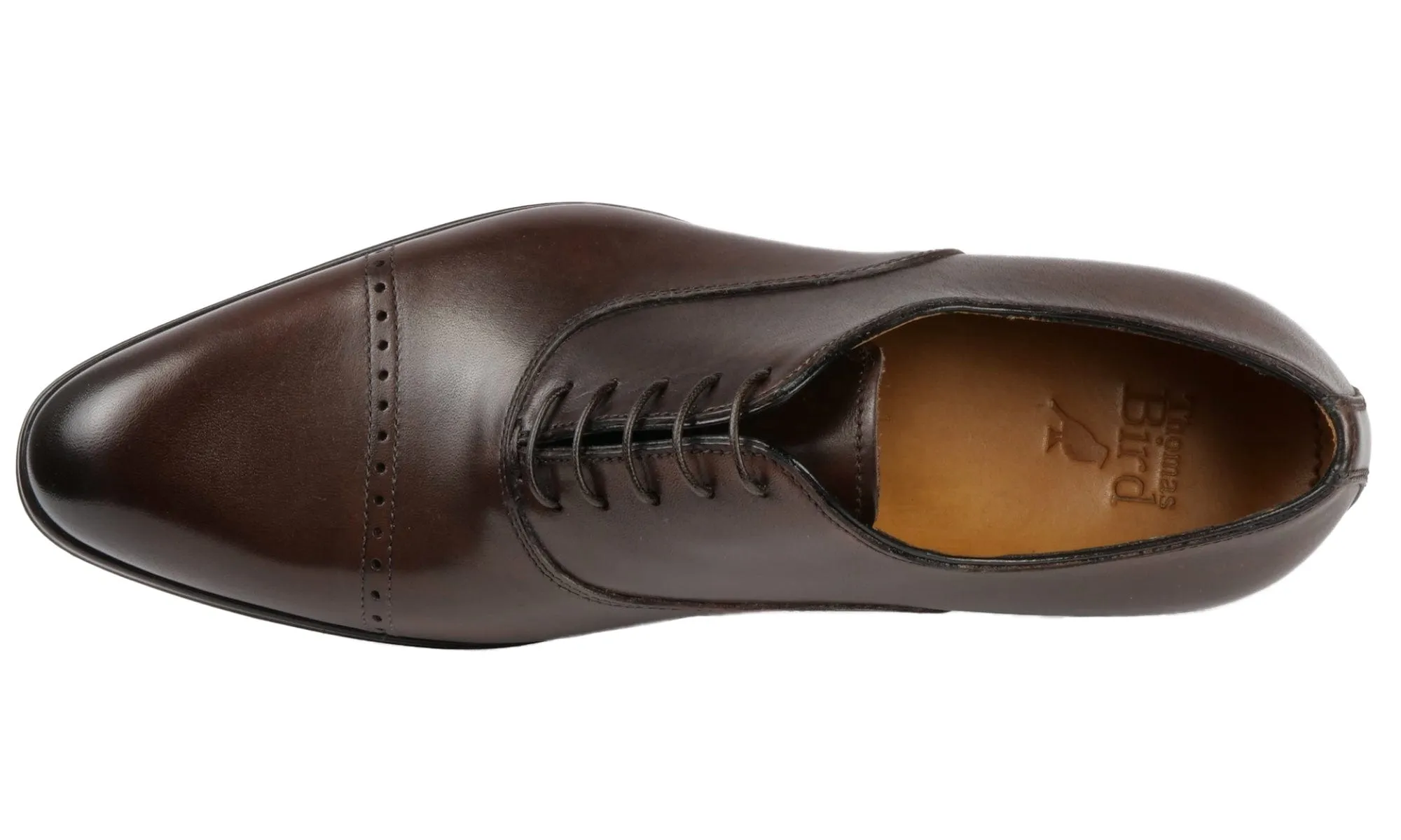 Chic Leather Fit Harrow Cap Toe Oxford Brown