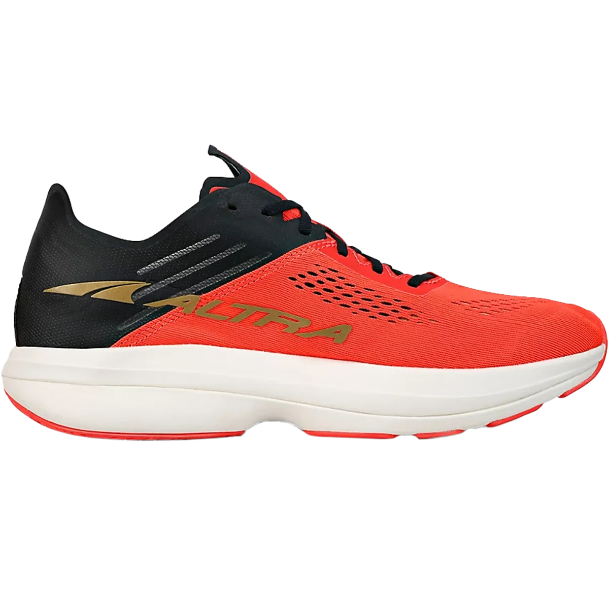 Women's Vanish Carbon running in a cable car station area shoes running in a geothermal area shoes