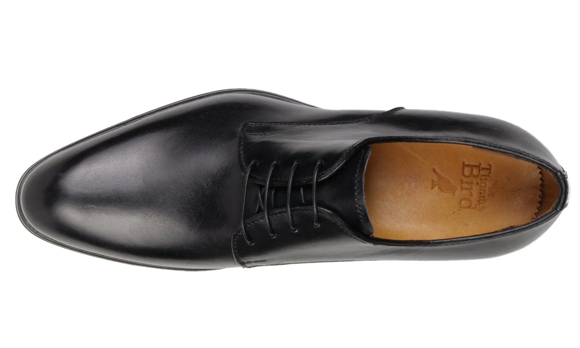 Professional Walk Brighton Derby Black