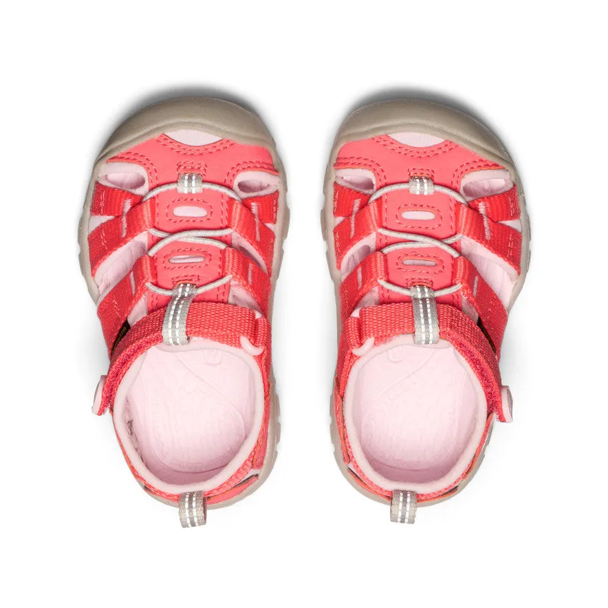 Toddlers' Seacamp II CNX  |  Dubarry/Giggle Pink Hero Walk