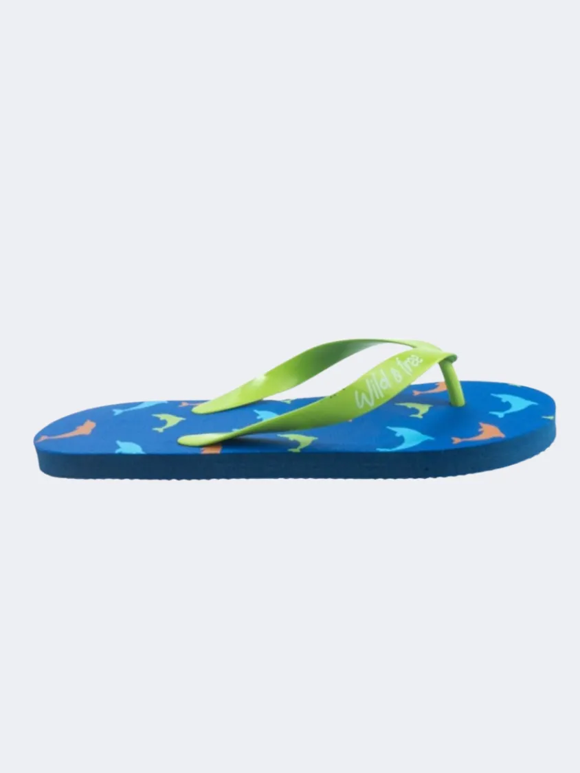 Comfort Tongue evening run Stamion Dolphins Pe Boys Beach Slippers Blue