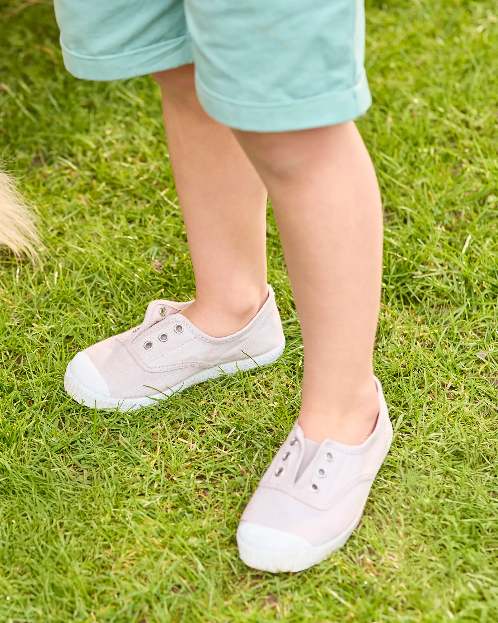 Hampton Canvas Plum Plimsolls in Putty Simple Lines