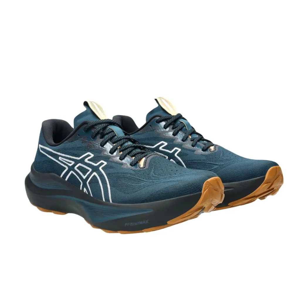 King Walk asics GT-2000 14 TR Men's Trail Running Shoes