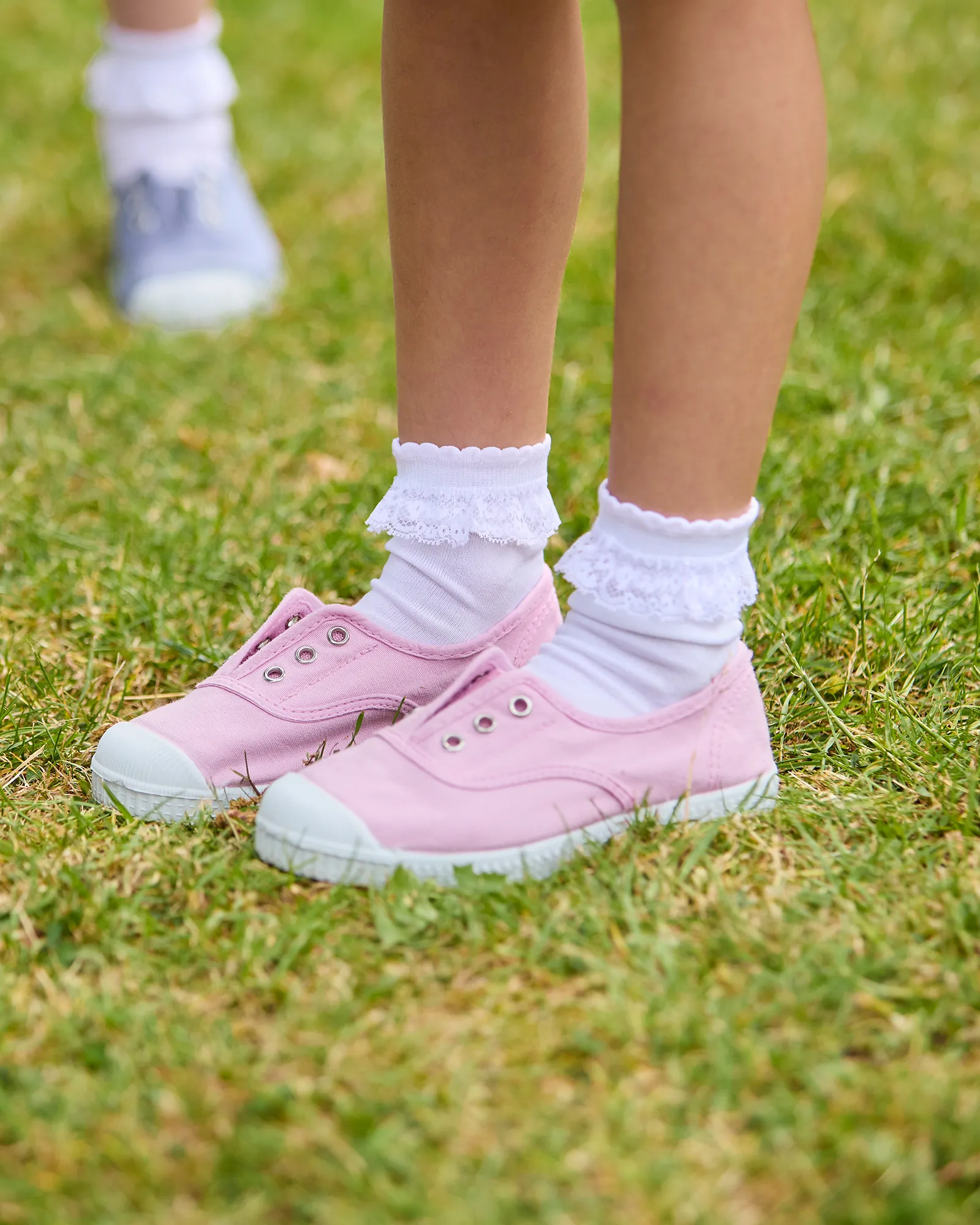 Hampton Canvas Plum Plimsolls in Rose Family Fit