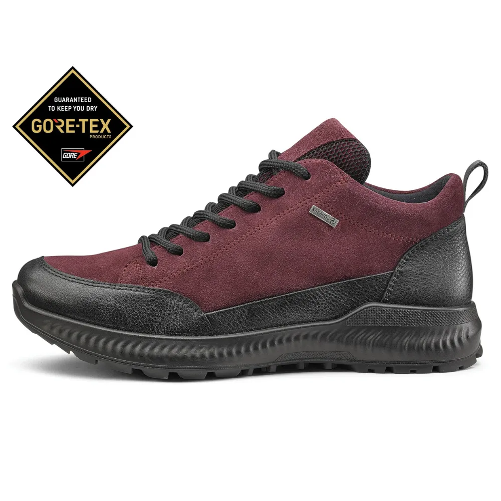 Ara Highland GORE-TEX? Berry Suede Hiker Bootie (Women's) Winter Essentials