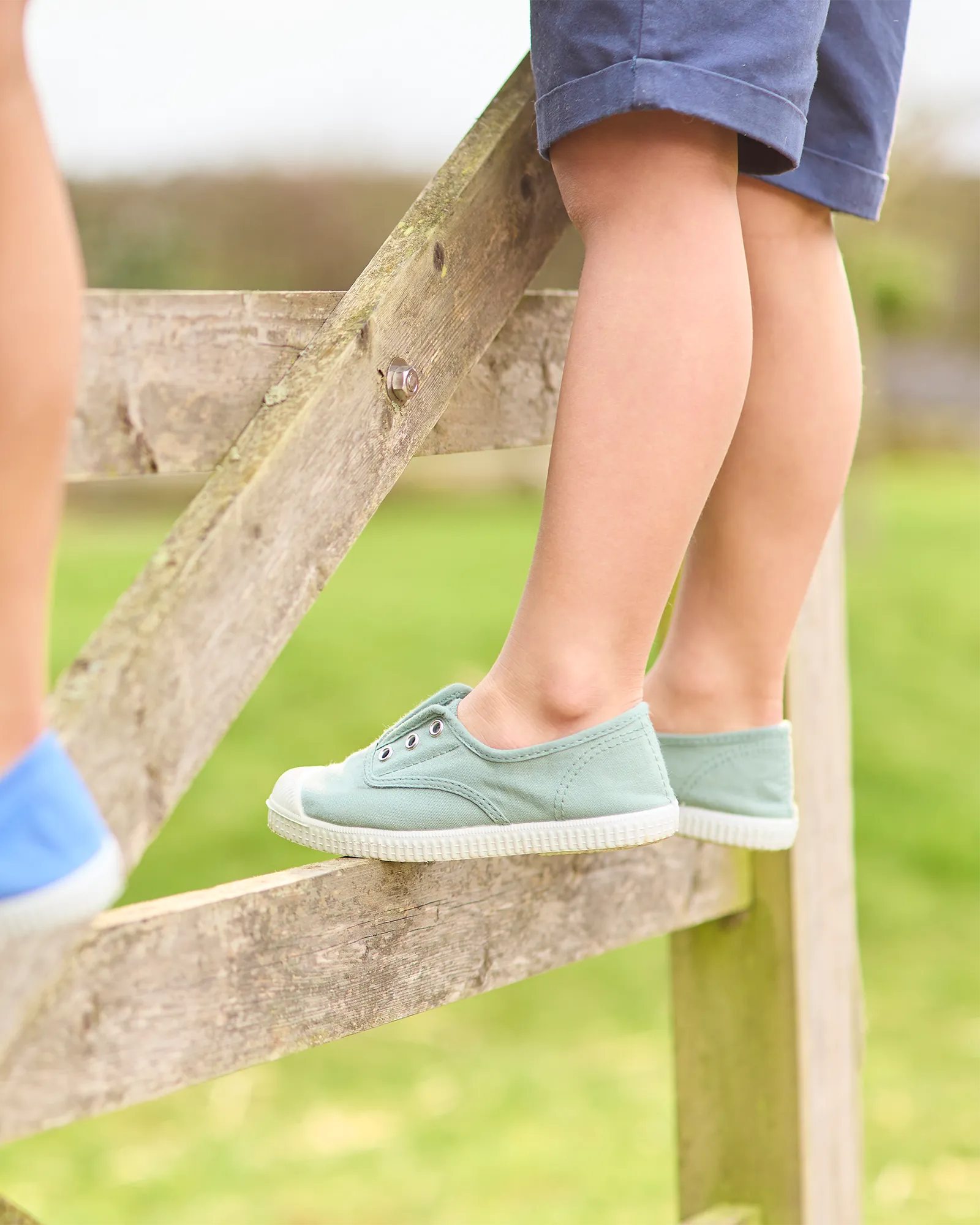 Hampton Canvas Plum Plimsolls in Olive Travel Daily