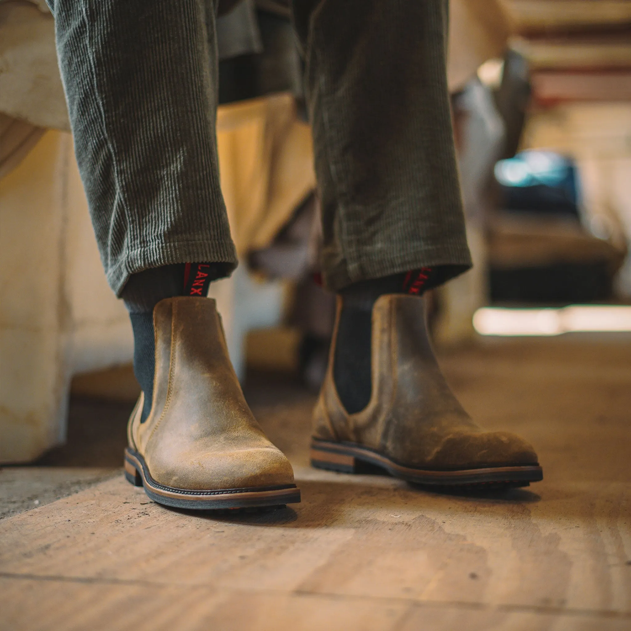 Padded collar Semi Formal GARSTANG // MOLE