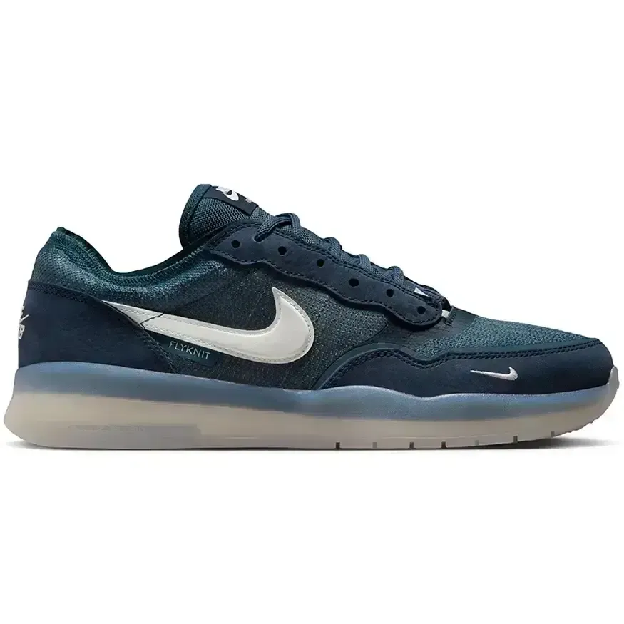 Everyday Fit All Terrain Fit Nike SB PS8 Shoe