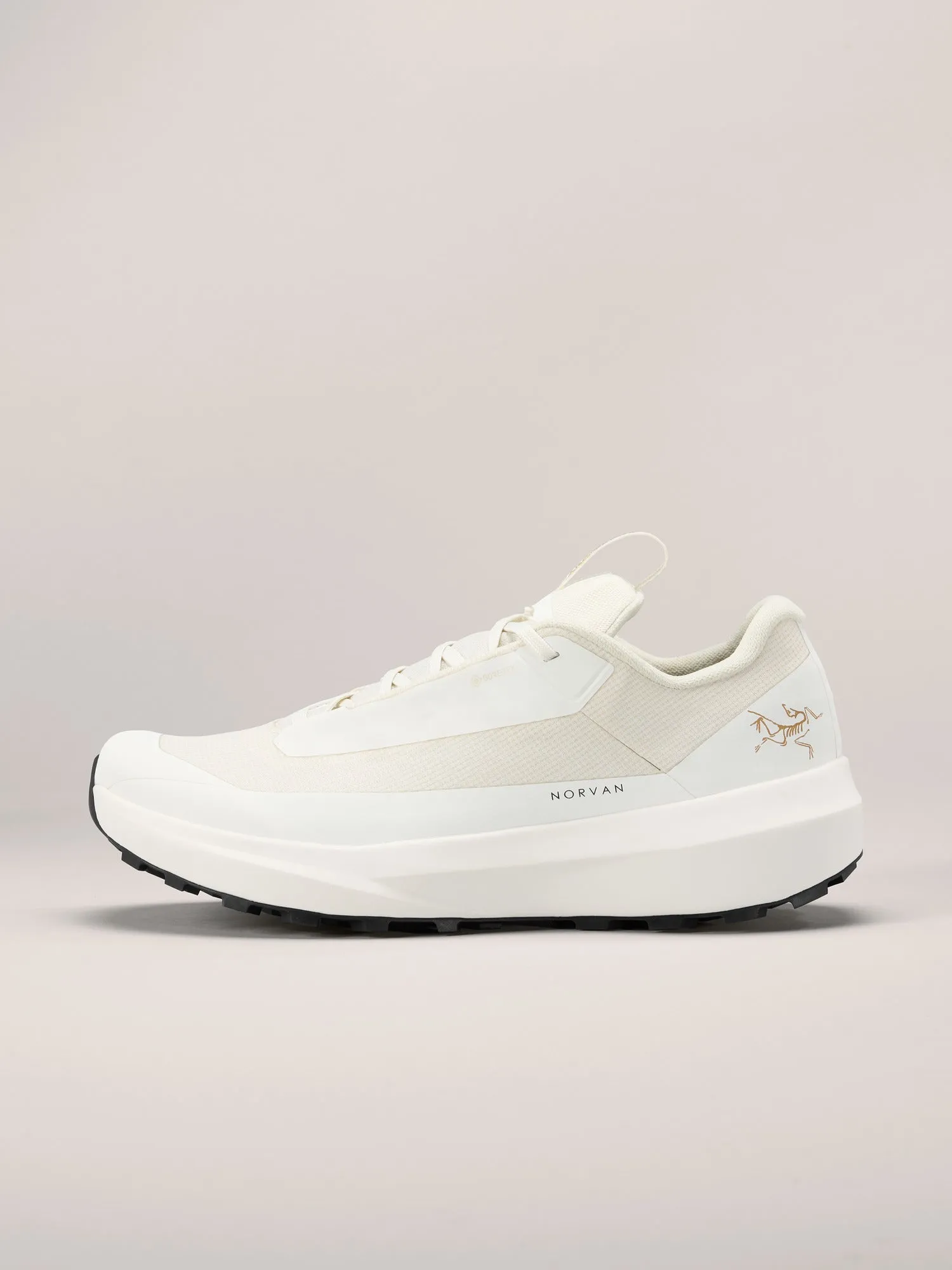 Norvan LD 4 GTX (Women's) - X000010399 Endurance Boost