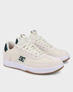 Mens DC Astrix Skate Shoes Modern Youth