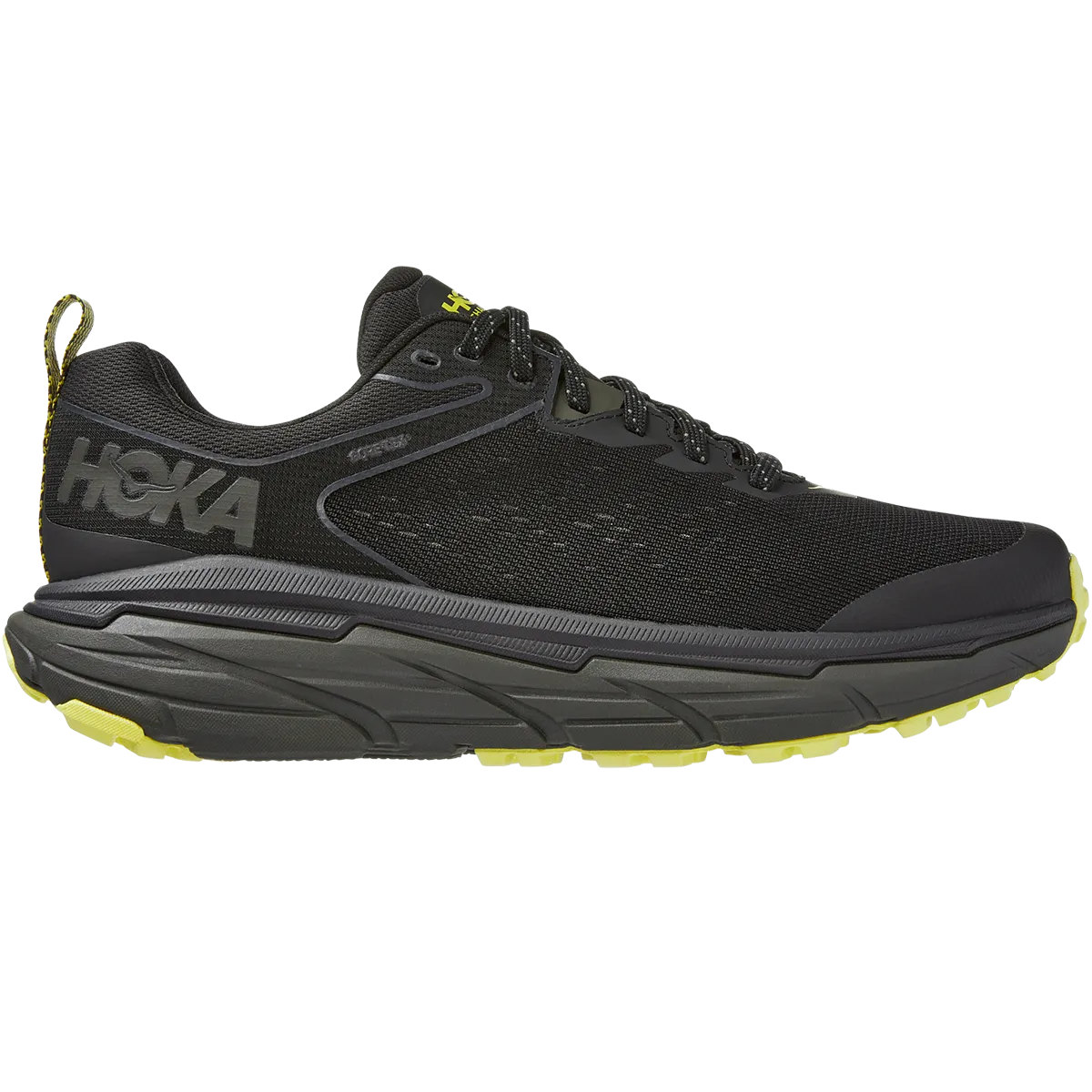 Men's Challenger ATR 6 GTX All-Terrain Support