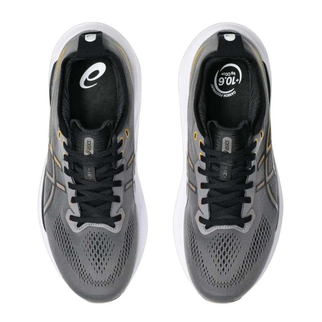 Swim Ready Snow Warm asics Gel-Kayano 31 Men's Running Shoes