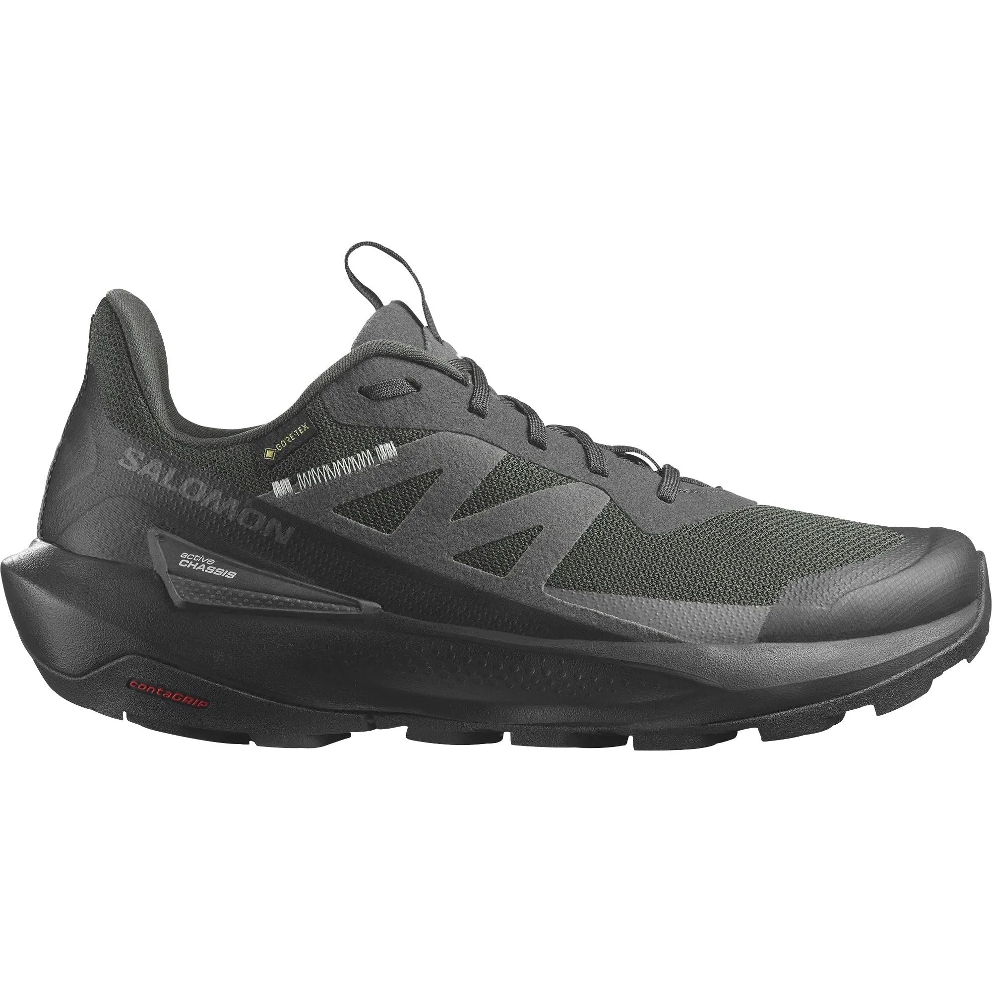 Climb Path Dry Feet Salomon Elixir Activ GORE-TEX Mens Walking Shoes - Black