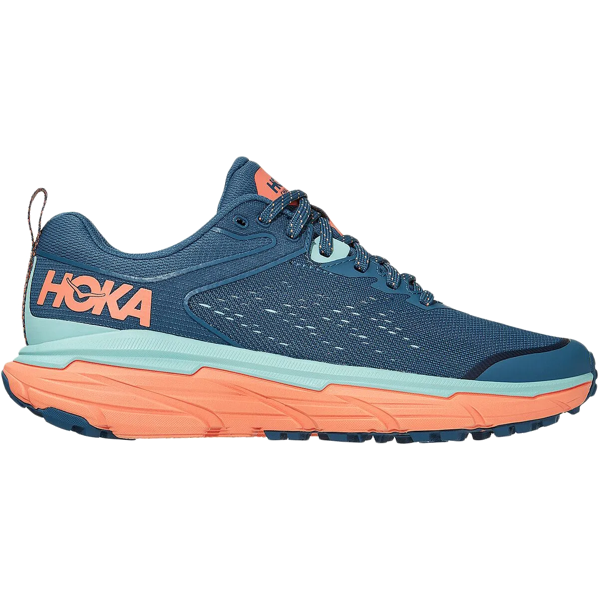 gym - goers leather running shoes Women's Challenger ATR 6