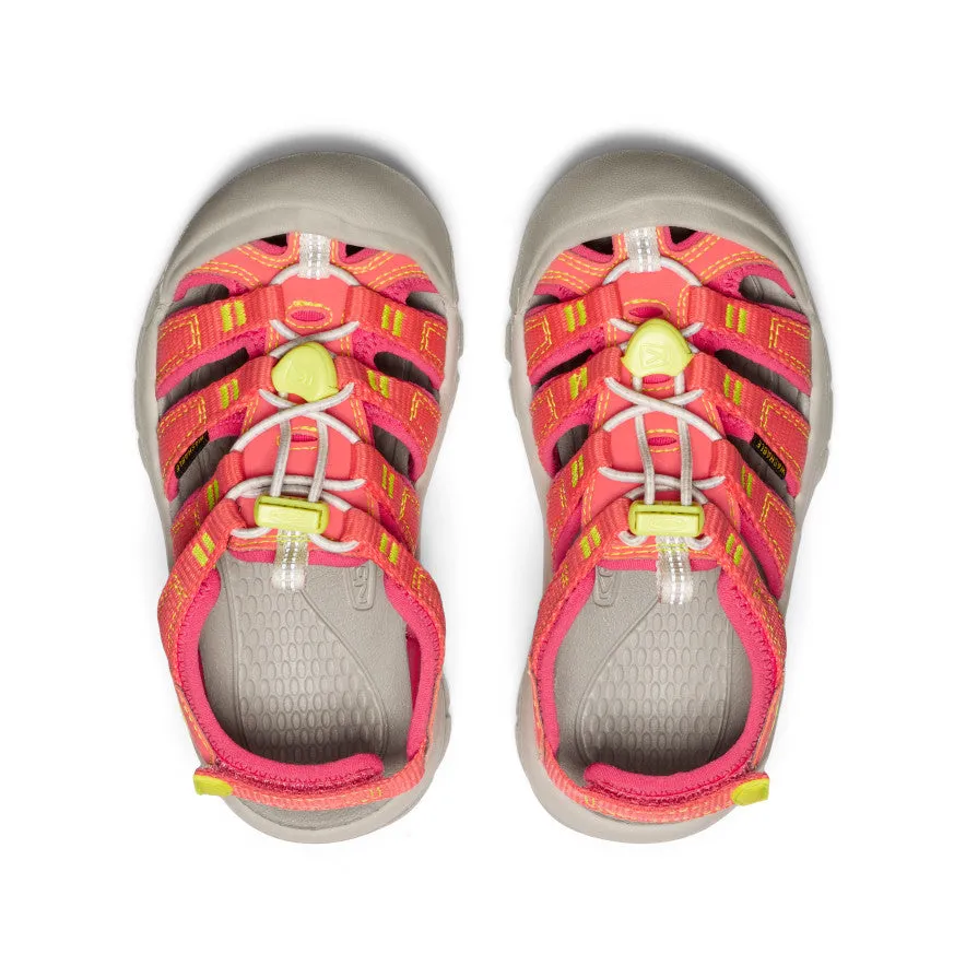 Little Kids' Newport Boundless Sandal  |  Dubarry/Evening Primrose Winter Chill Chic Fit