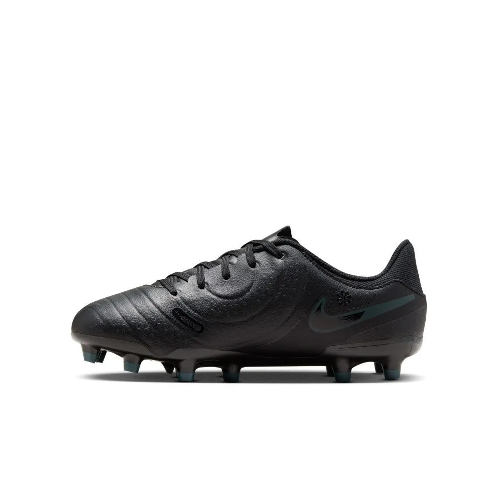 Skating Shoes Jr Legend 10 Academy Fg/Mg Soccer Shoes